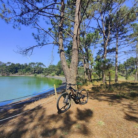 Cortegaça Casa Amarelaヴィラ エクステリア 写真